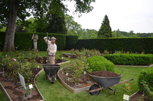 featuredproject-1a-cropped